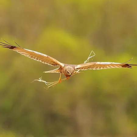 Denmark Outdoor Ebberup