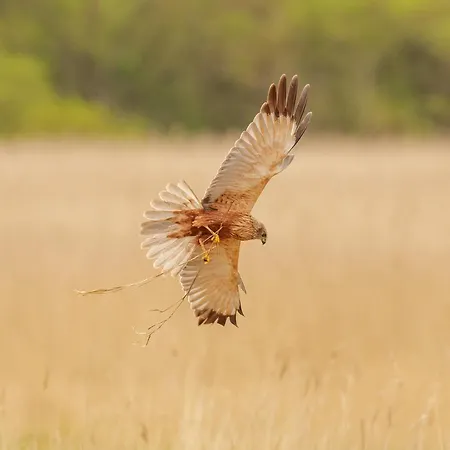 Hotell Denmark Outdoor
